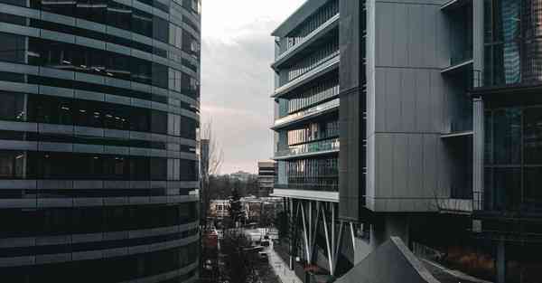 外国语单招大数据的行业文章