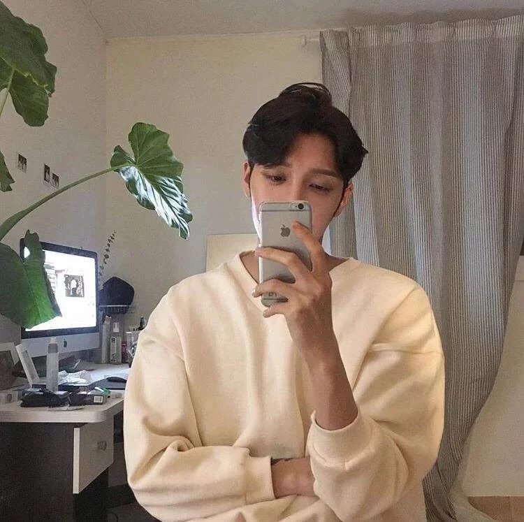 幸琴芸桦