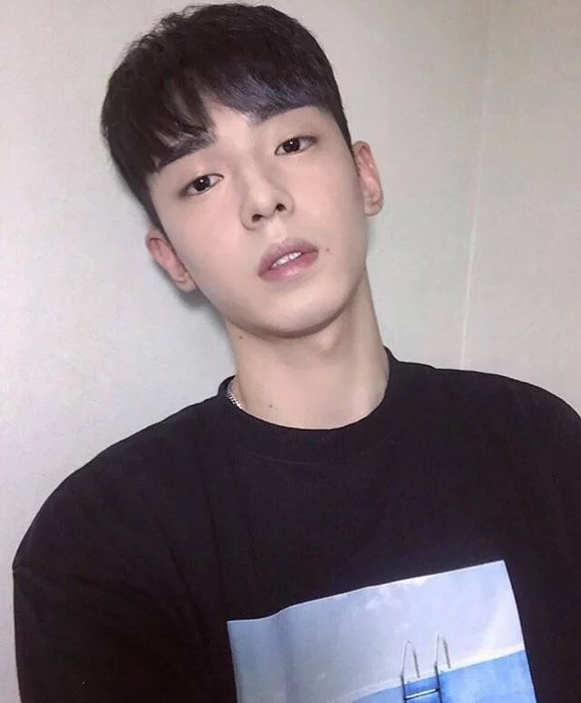 龙厚绿瑶