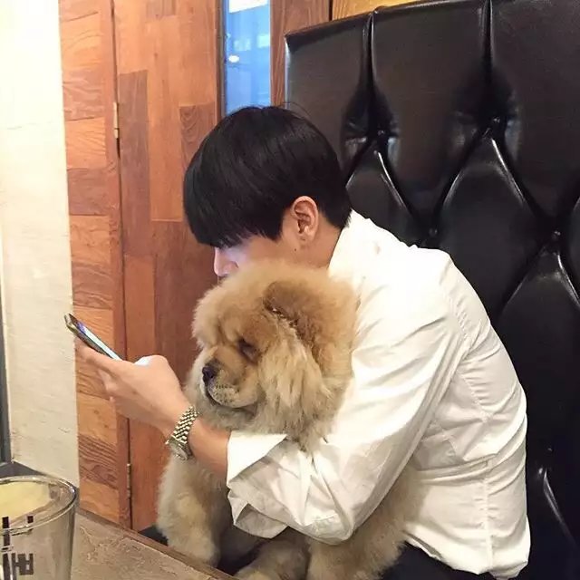 徐离纪利睿