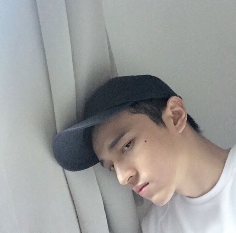 索荣枫鸿