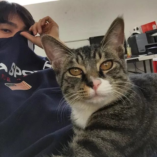 丁安锦克
