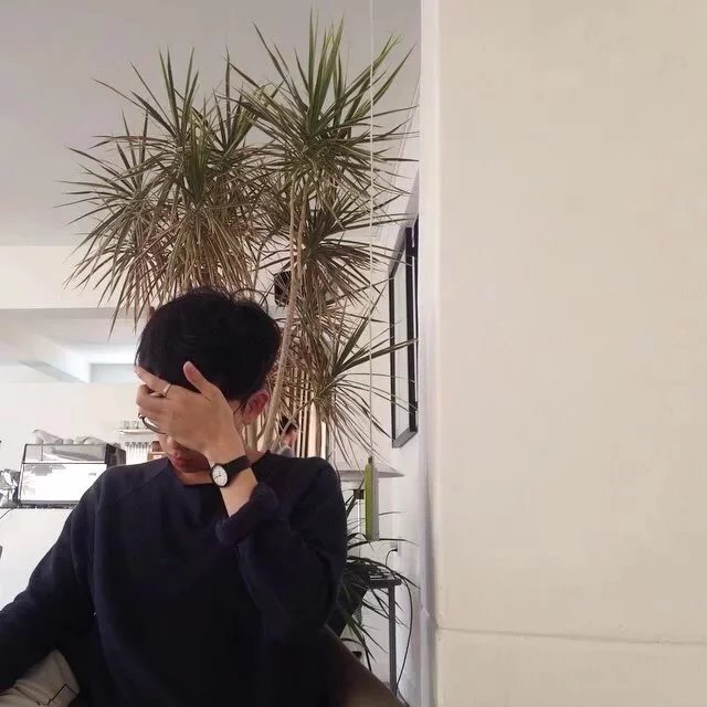 虞燕枫翔