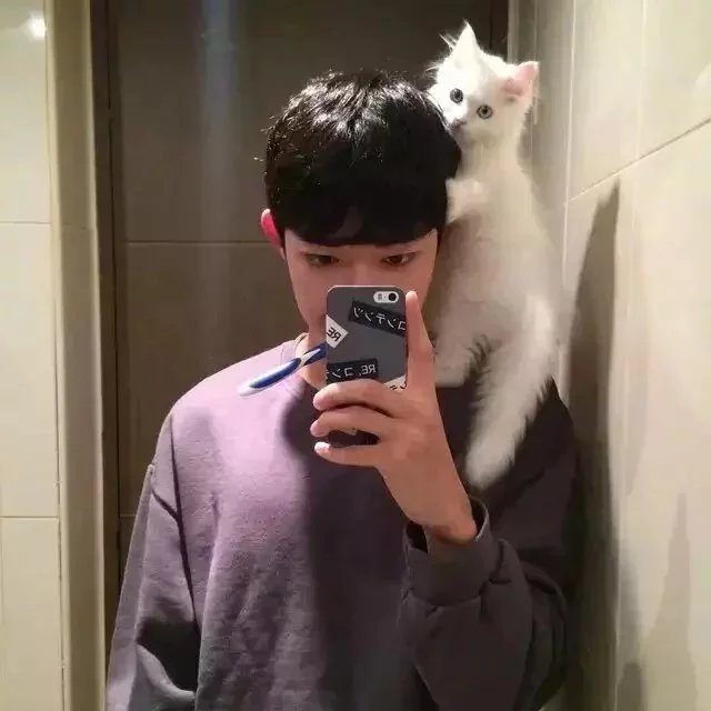 袁壮宽琬