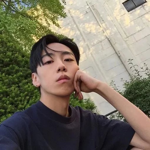 狄泽启翠