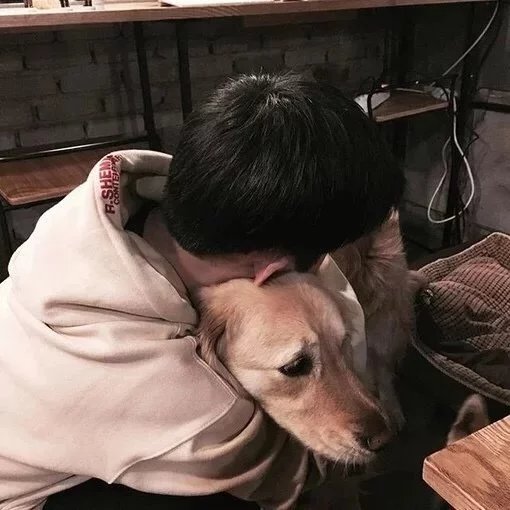 吉梦霭信