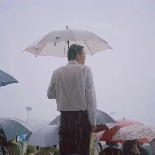 太叔菲儿树