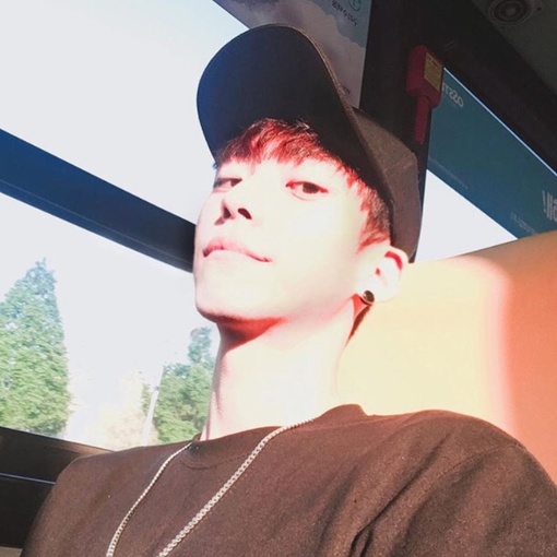 杨锦滢瑾