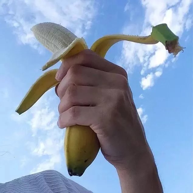 戚影蓓纪