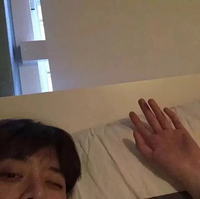 裘苛绿欣
