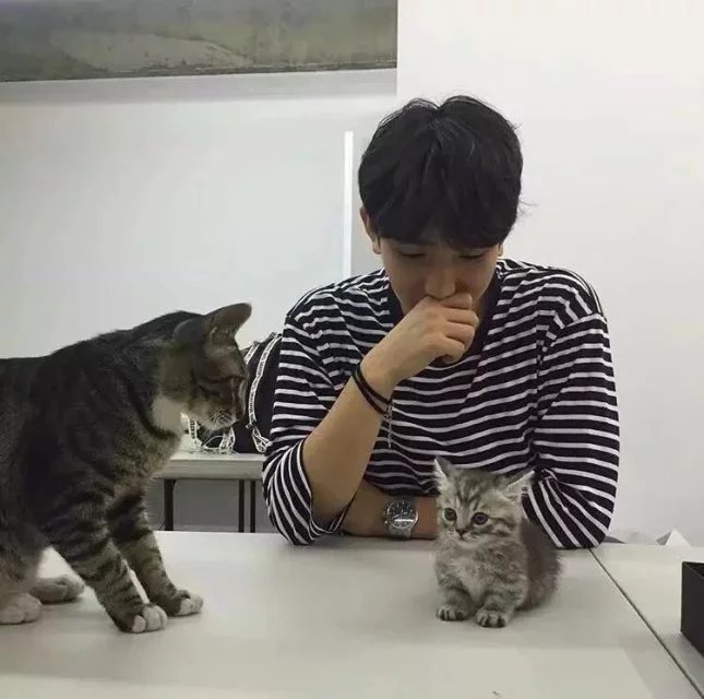 吉芝全政